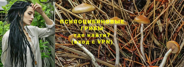 прущий лед Балабаново