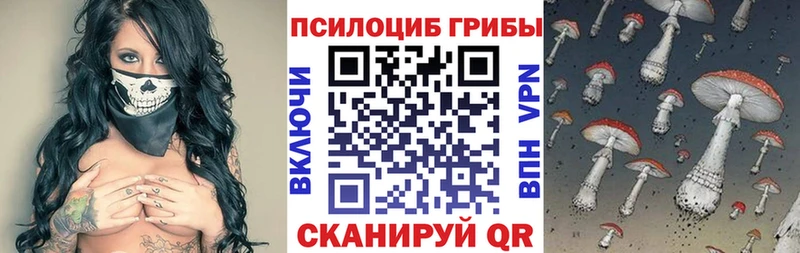 Галлюциногенные грибы MAGIC MUSHROOMS  дарк нет телеграм  Тутаев 